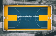 悟空体育登录-梅斯客场饮恨尼斯吞连败 法甲保级路再添阴霾