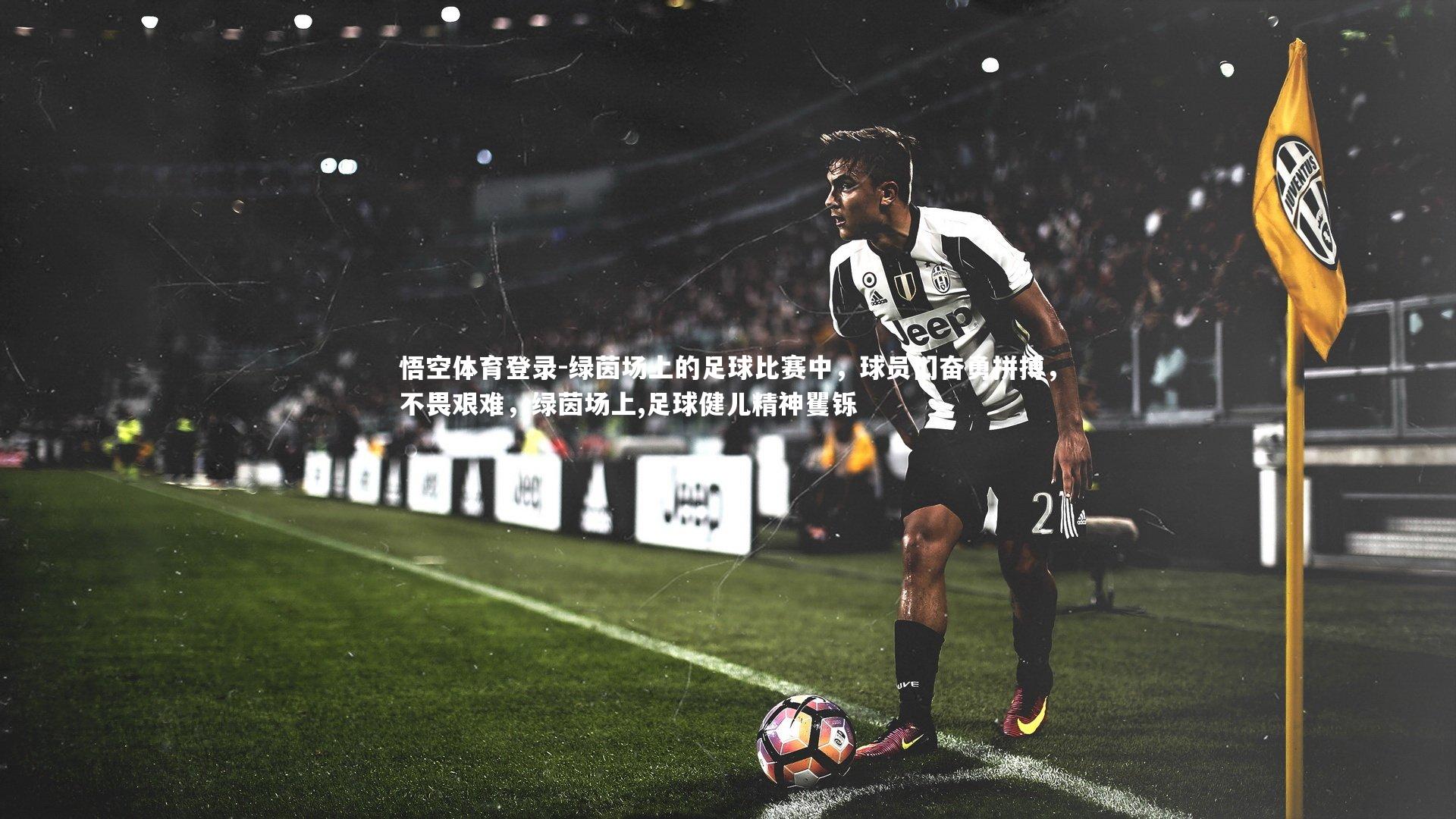 绿茵场上的足球比赛中，球员们奋勇拼搏，不畏艰难，绿茵场上,足球健儿精神矍铄