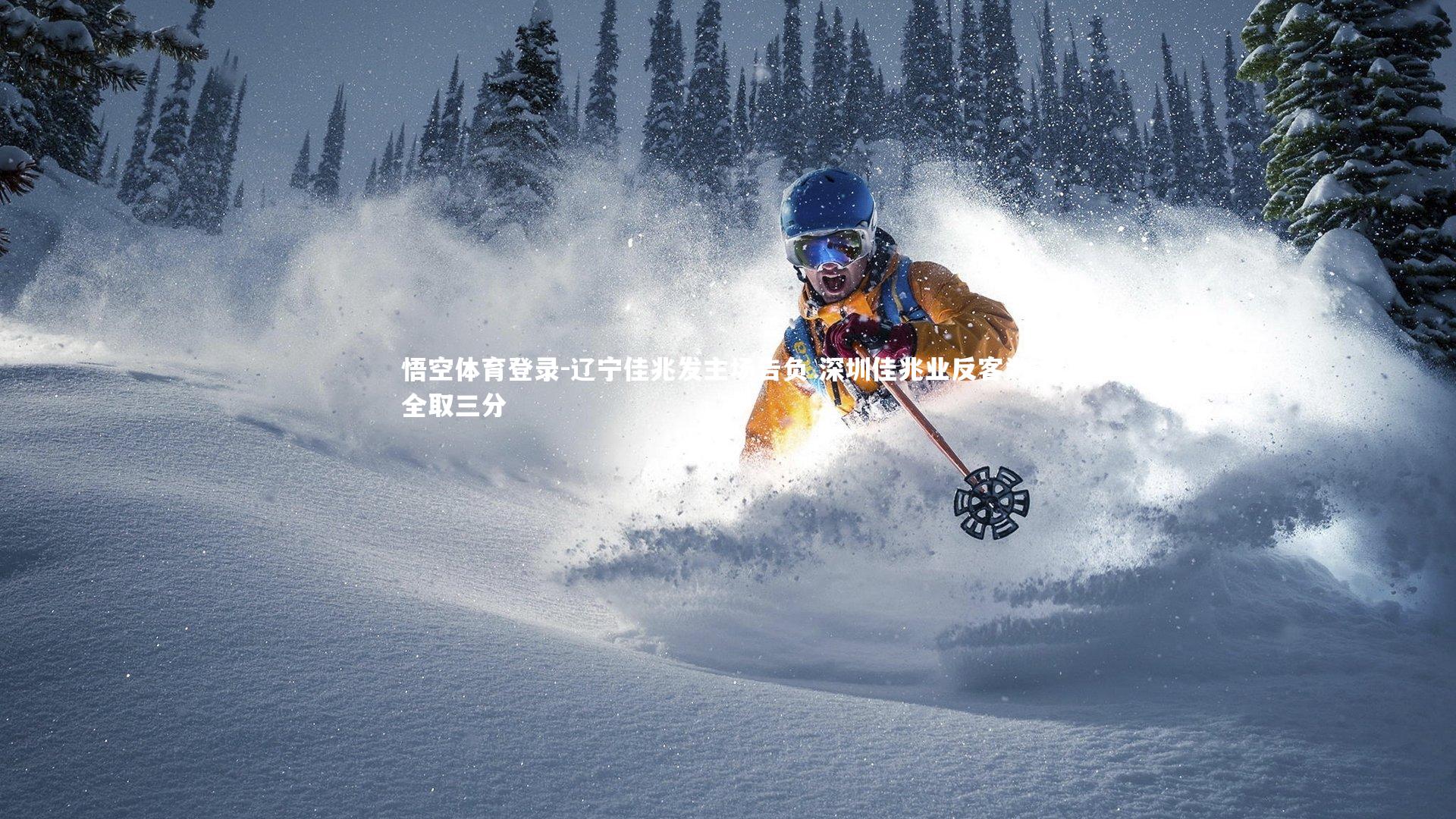 辽宁佳兆发主场告负 深圳佳兆业反客为主全取三分