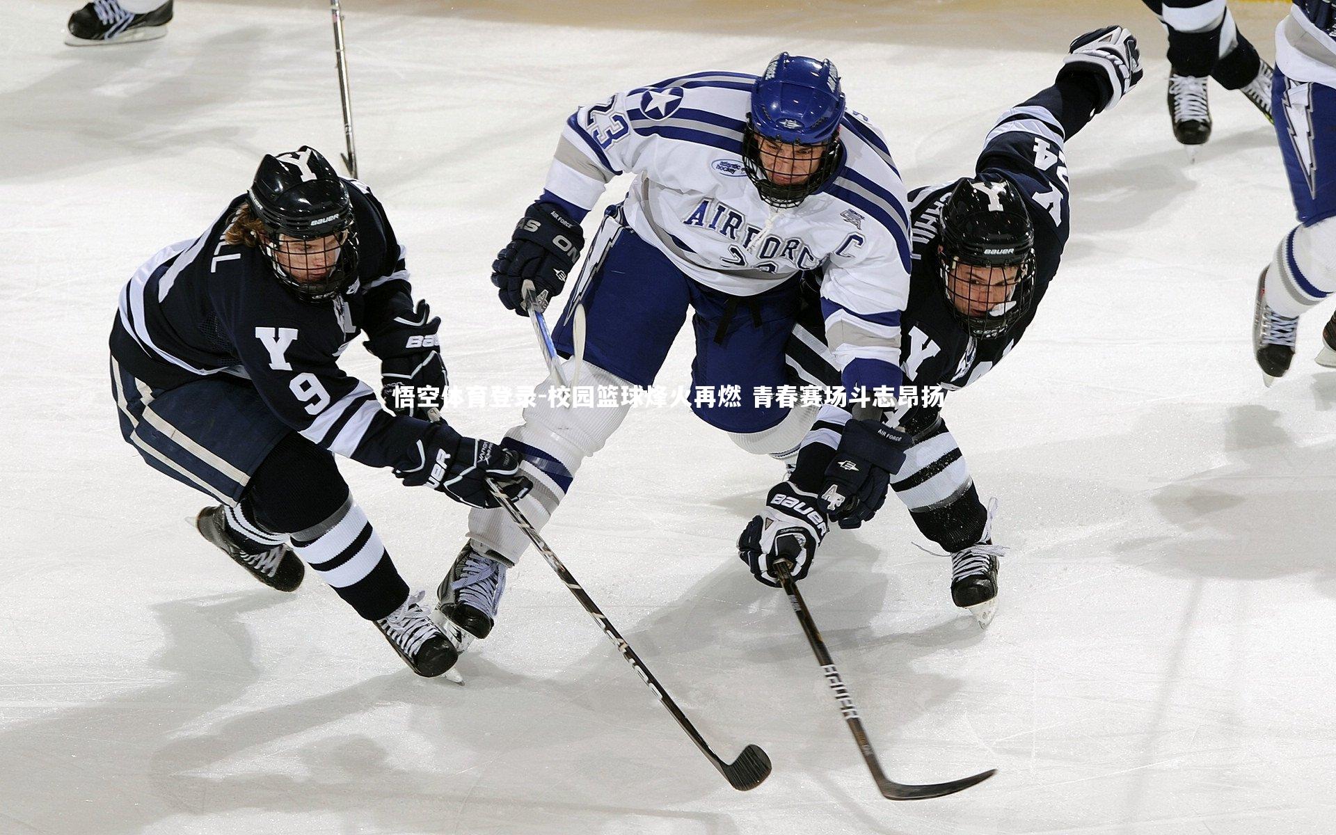 校园篮球烽火再燃 青春赛场斗志昂扬